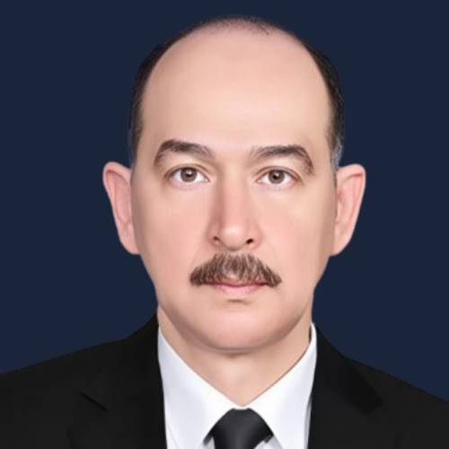 walid helmy el saqqa